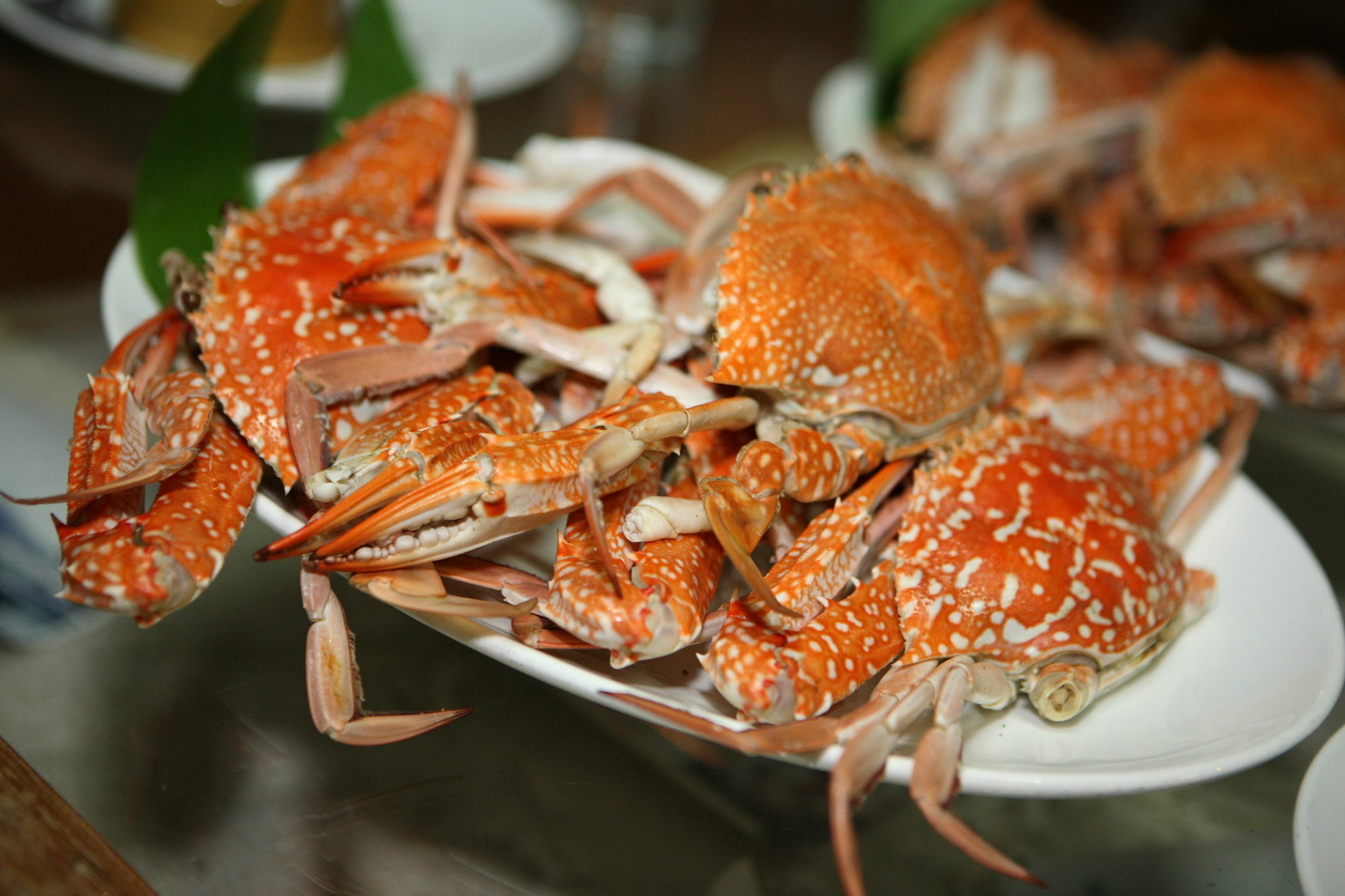 Salakphet Resort Koh Chang Zewnętrze zdjęcie